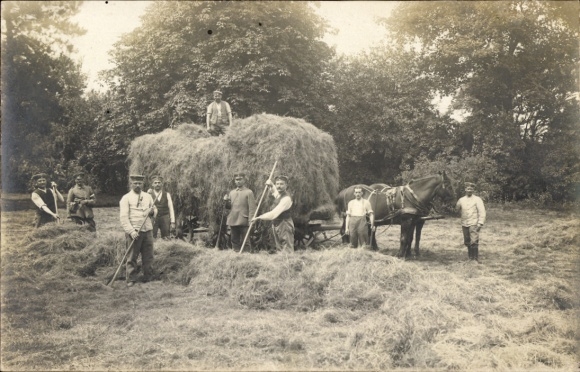 Photo Postcard German soldiers in uniform, during the hay harvest in Northern France 1916, horse-drawn cart