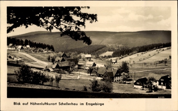 Ak Schellerhau Altenberg im Erzgebirge, Blick auf Höhenluftkurort Schellerhau, Landschaft, Erzgeb
