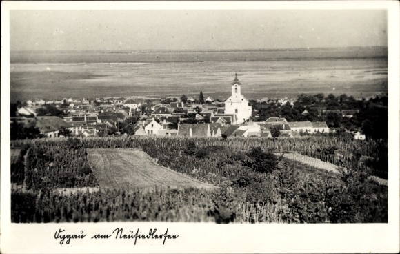 Ak Oggau am Neusiedler See Burgenland Österreich, Gesamtansicht