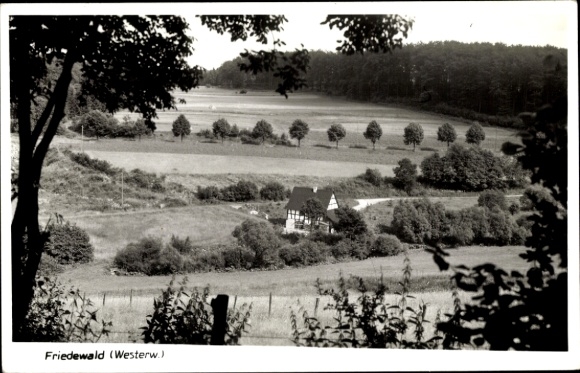 Postcard Friedewald Westerwald, Panorama