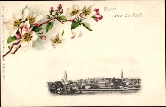 Postcard Corbach Korbach in Hessen, panorama, blooming branch