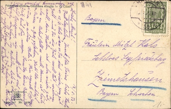 Postcard Nenke and Ostermaier 547 1218, Gentiana acaulis, Primula auricula, photochromia, gentian