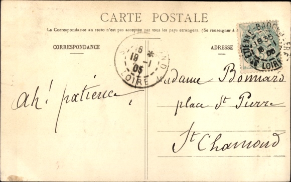 Postcard Langage des Fleurs, Chrysanthemum, portrait of a Woman, Breasts