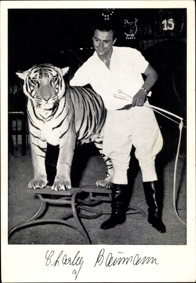 Postcard Charly Baumann with his Bengal tigers from the Roland circus, Bremen