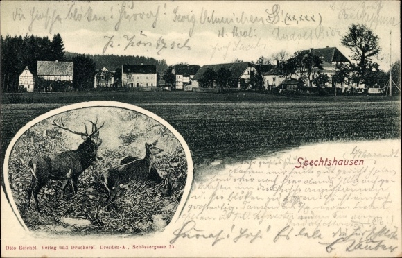 Ak Spechtshausen Hartha Hintergersdorf Tharandt im Erzgebirge, Ortspanorama, Hirsch und Rehe