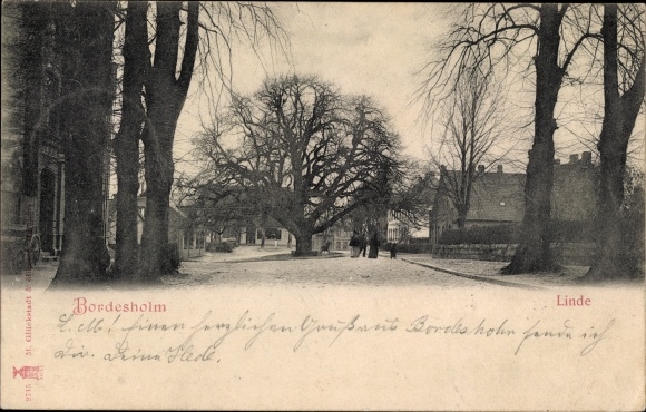 Ak Bordesholm in Holstein, Linde, Straßenpartie