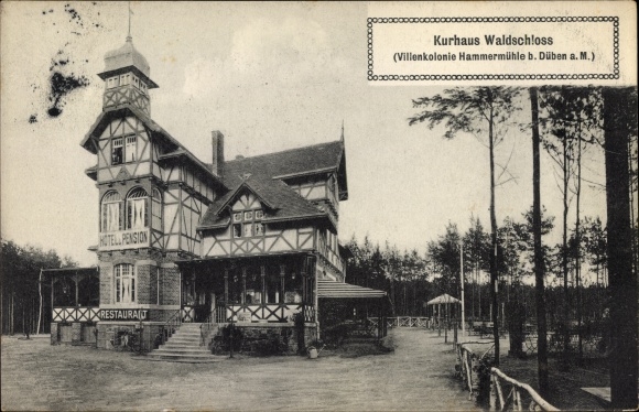 Postcard Bad Düben on the Mulde Saxony, Kurhaus Waldschloss, villa colony Hammermühle