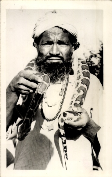 Photo Postcard Maghreb, Arab, snake