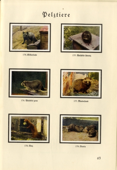 The small animal breeder (Hans vd Nordmark) collecting picture album Muskator, Bergische Kraftfutter-Werke 1