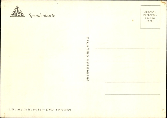 Postcard short-eared owl, DJH donation card