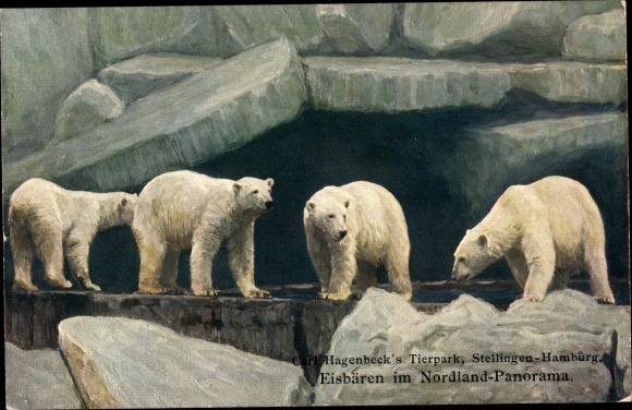 PC Hamburg Eimsbüttel Stellingen, Hagenbecks Tierpark, Nordland Panorama, polar bears