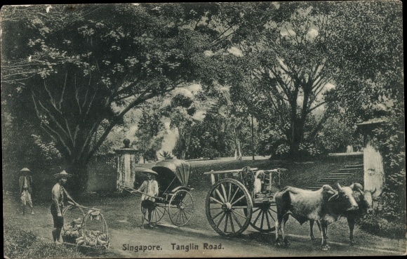 PC Singapore, Tanglin Road, rickshaw, cattle cart
