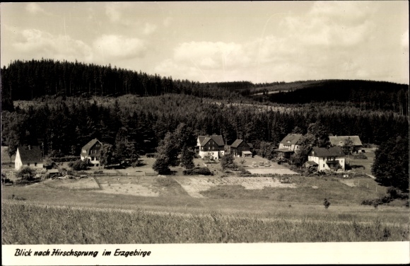 PC Hirschsprung Altenberg Ore Mountains, panorama of the place