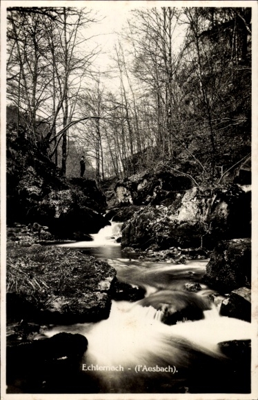 Postcard Echternach Luxembourg, river landscape, trees, person in the distance