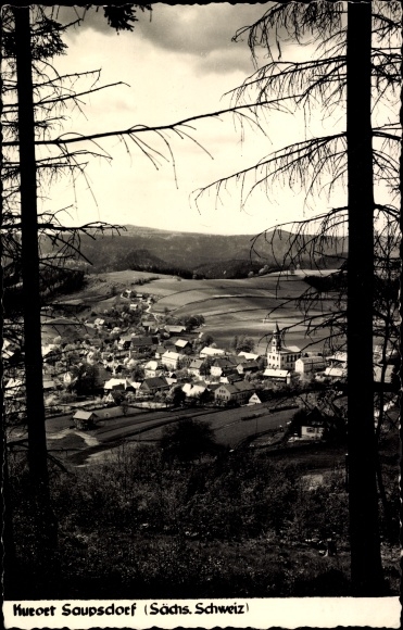 Ansichtkaart Saupsdorf Sebnitz Saksen, Panorama