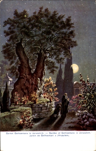 Artist Postcard Perlberg, F., Jerusalem Israel, Garden of Gethsemane