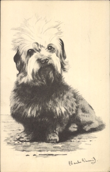 Artist Postcard Dandie Dinmont Terrier, Sophia Association for the Protection of Animals