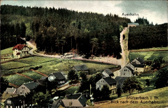 Postcard Stützerbach Ilmenau Thuringian Forest, capercaillie, view of the capercaillie, forest, landscape,