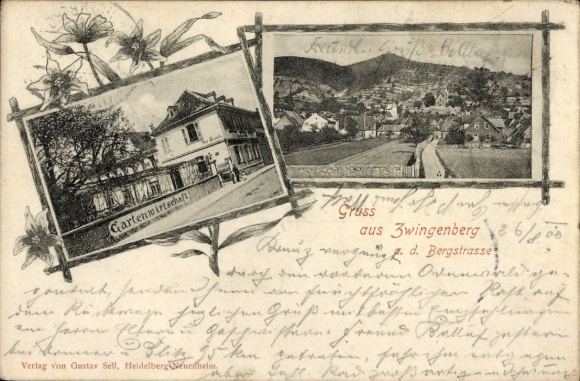 Postcard Zwingenberg on the Bergstrasse in Hesse, garden restaurant, total view