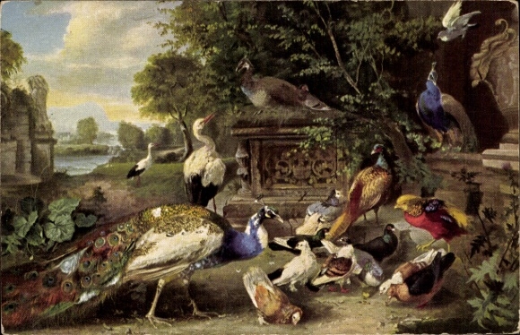 Artist Postcard landscape view with birds, pigeons, peacock, storks, pheasants