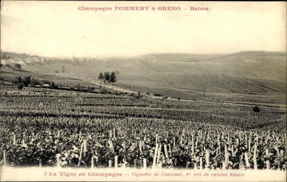 Set with 40 PCs Reims, Caves Pommery, envelope