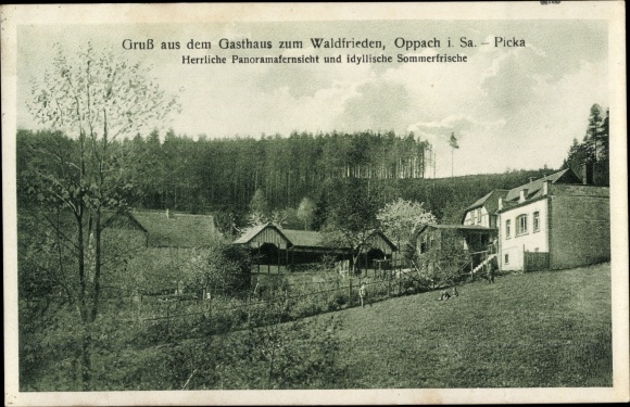 Postcard Picka Oppach in Saxony, Inn zum Waldfrieden, Wiese