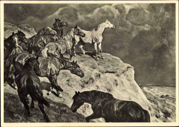 Artist Postcard Roloff, Alfred, HDK 527, In freedom, wild horses, cliffs