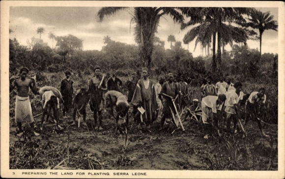 PC Sierra Leone, Het land voorbereiden op het planten