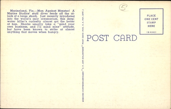 Postcard Florida USA, Marineland, Marine Studios, Diver fends off shark attack