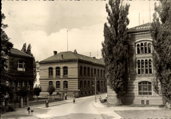Ak Hansestadt Greifswald, Universitätsgebäude, Bäume, Straße, Schwarz-Weiß-Foto