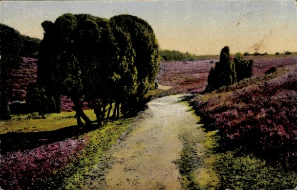 Postcard Bispingen in the Lüneburg Heath, Wilseder Berg