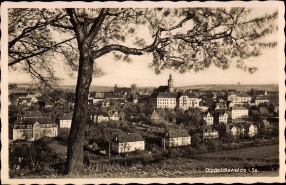 Postcard Dippoldiswalde in the Ore Mountains, Dippoldiswalde i.Sa., city view, tree in the foreground, Archit