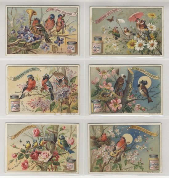 Liebig Pictures Series A 290 From the Bird World 1895