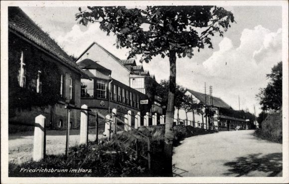 Ak Friedrichsbrunn Thale im Harz,  Straßenansicht, Gebäude, Bäume, Wolken