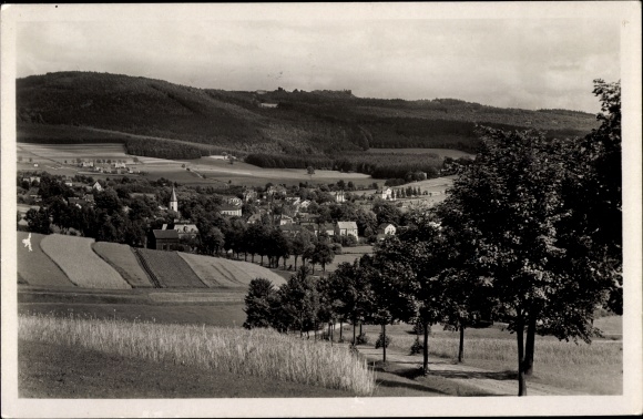 PC Erlbach in the Vogtland, panorama
