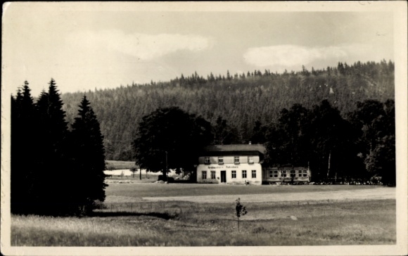 Ak Elterlein im Erzgebirge, Finkenburg, Wald