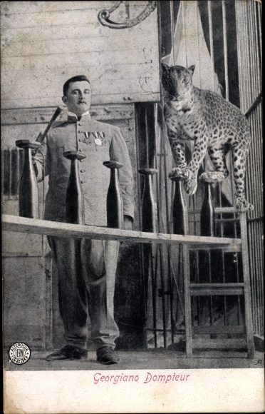 Postcard Tamer Georgiano, Leopard, Orden