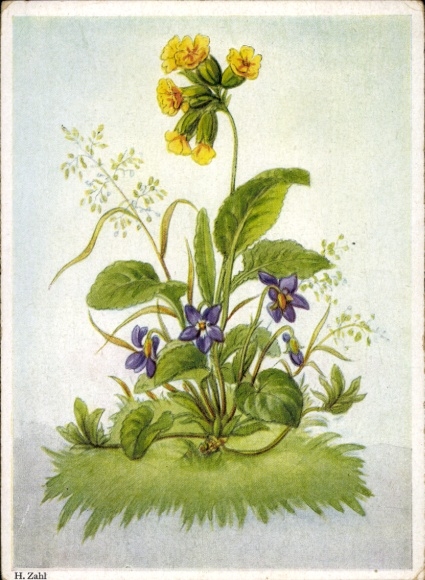Artist Postcard Zahl, H., flowers, blossoms
