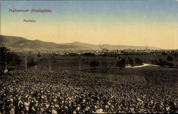 Ak Maikammer an der Weinstraße Pfalz, Gesamtansicht, Maxburg