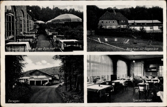 Ak Lemförde in Nedersaksen, Hannoversches Berghaus, eetkamer, terras, Dümmer
