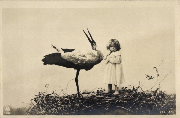 Ak Kleinkind in einem Storchennest, Storch