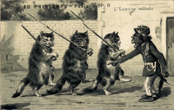 Litho Vermenschlichte Tiere, Katzen als Soldaten, Militär