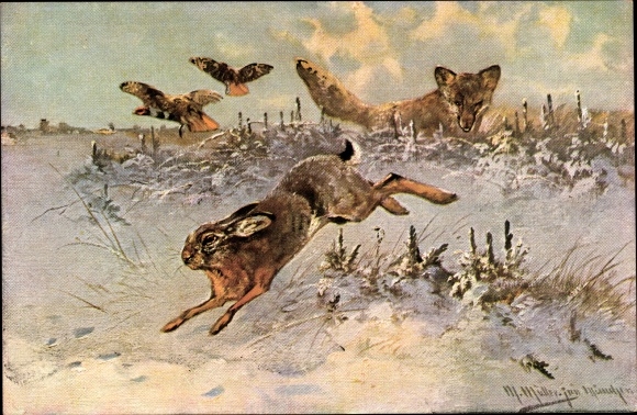 Artist PC Müller, M., fox chasing a rabbit