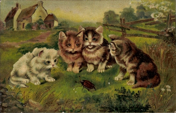 Postcard Four young domestic cats watching a cockchafer, kittens