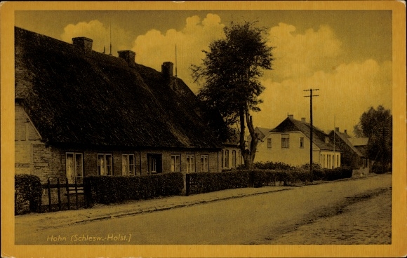 Ak spot in Sleeswijk-Holstein, huizen met rieten daken