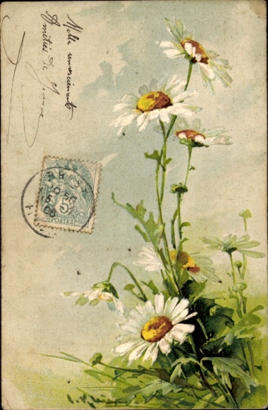 Embossing Artist Chromo-Litho Klein, C., Daisies