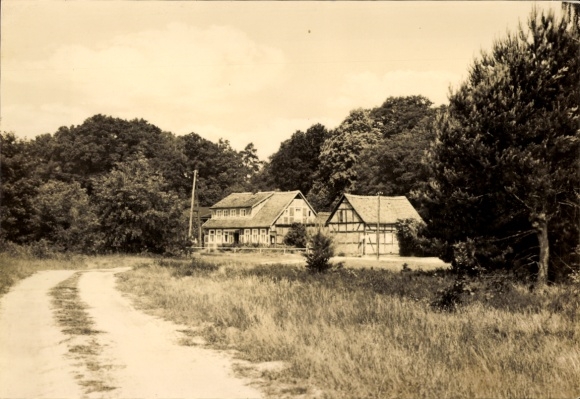 Ak Seehausen in der Altmark, Forsthaus Borsberge, ländliche Umgebung, Waldgebiet, Weg