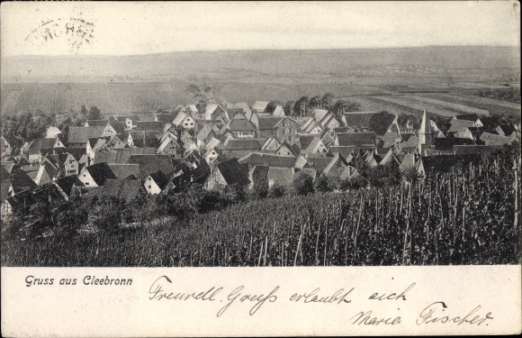 PC Cleebronn in Württemberg, general view