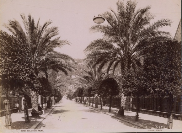 foto Nervi Genova Genua Ligurië, Viale delle Palme