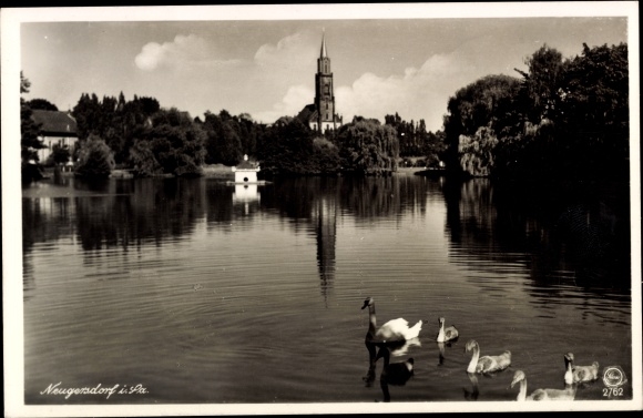 Ak Neugersdorf in Sachsen, Schwanenteich mit Kirchturm, Weiher